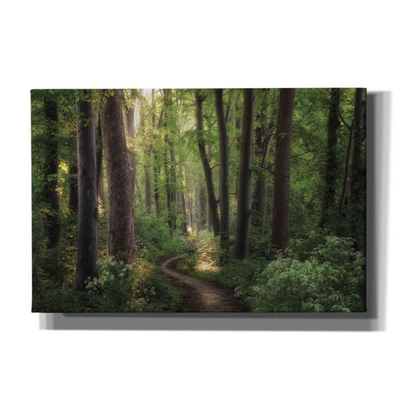 Epic Graffiti 'Spring Chaos' by Martin Podt, Giclee Canvas Wall Art, 60"x40"