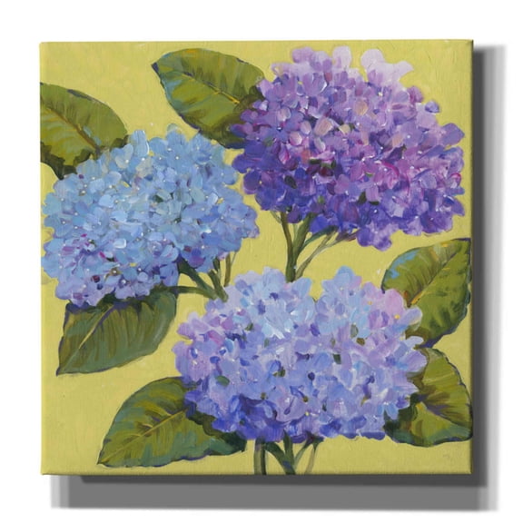 Epic Graffiti 'Spring Hydrangeas I' by Tim O'Toole, Canvas Wall Art, 18"x18"