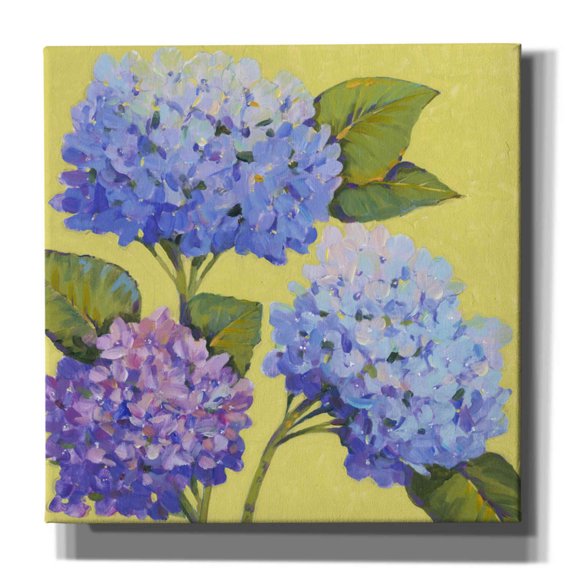 Epic Graffiti 'Spring Hydrangeas II' by Tim O'Toole, Canvas Wall Art, 12"x12"