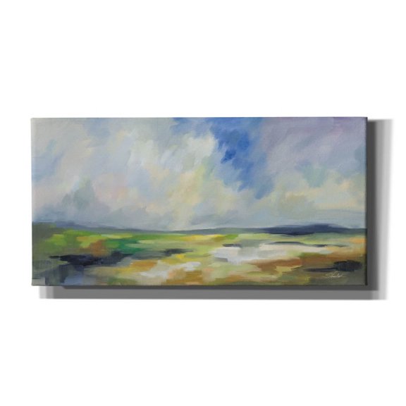Epic Graffiti 'Spring Sky'  by Silvia Vassileva Canvas Wall Art, 24" x 12"