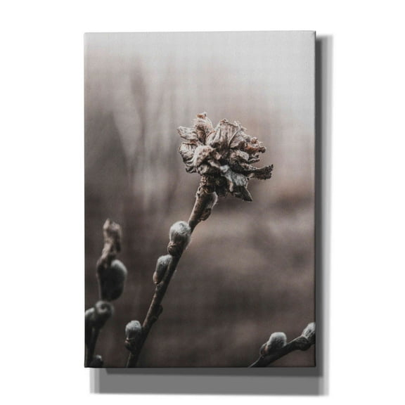 Epic Graffiti 'Spring' by Incado, Giclee Canvas Wall Art, 18"x26"