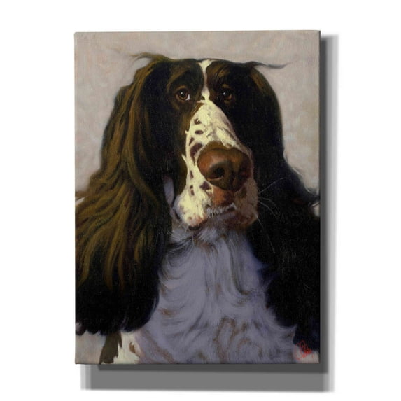 Epic Graffiti 'Springer' by Thomas Fluharty, Canvas Wall Art, 40"x54"