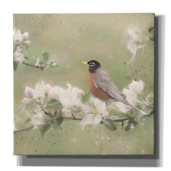 Epic Graffiti 'Springtime Robin' by Lori Deiter, Canvas Wall Art, 26"x26"