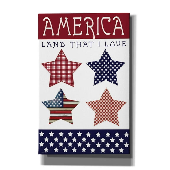 Epic Graffiti 'Stars of America' by Cindy Jacobs, Giclee Canvas Wall Art, 26"x40"