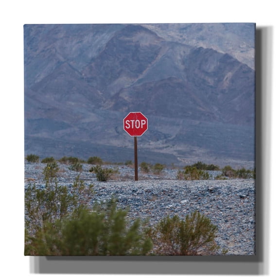 Epic Graffiti 'Stop Sign Landscape' by Epic Portfolio Canvas Wall Art, 12" x 12"