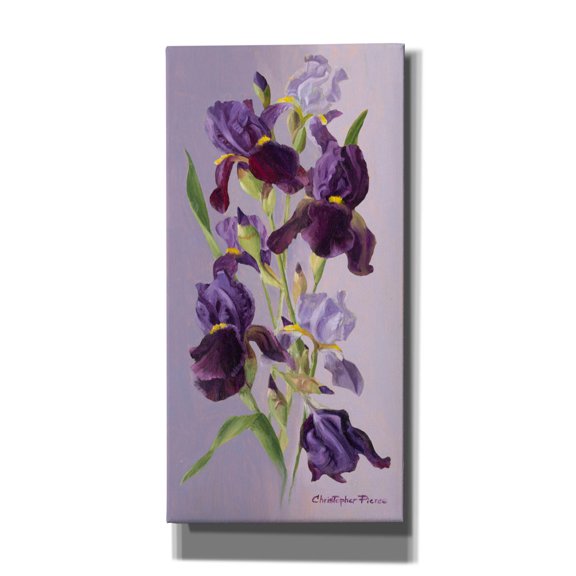 Epic Graffiti 'Study In Lavender And Purple' by Christopher Pierce, Canvas Wall Art, 30"x60"