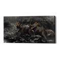 thumbnail image 1 of Epic Graffiti  "Styracosaurus" Giclee Canvas Wall Art 20" x 40", 1 of 5