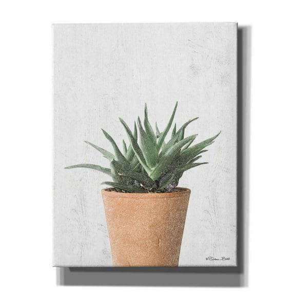 Epic Graffiti 'Succulents I' by Susan Ball, Canvas Wall Art, 26"x34"