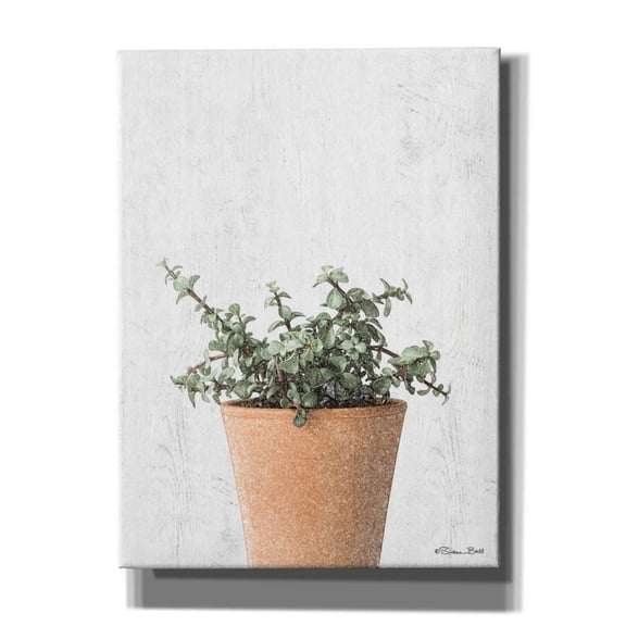 Epic Graffiti 'Succulents II' by Susan Ball, Canvas Wall Art, 40"x54"