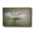thumbnail image 1 of Epic Graffiti 'Summer Swirl' by Mandy Disher, Giclee Canvas Wall Art, 40"x26", 1 of 8