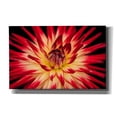thumbnail image 1 of Epic Graffiti 'Sunfire' by Epic Portfolio Giclee Canvas Wall Art, 40"x26", 1 of 8