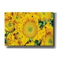 thumbnail image 1 of Epic Graffiti 'Sunflower Summer' by Donnie Quillen, Giclee Canvas Wall Art, 26"x18", 1 of 2