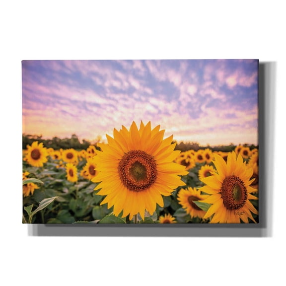 Epic Graffiti 'Sunflower Sunset' by Donnie Quillen, Canvas Wall Art, 26"x18"