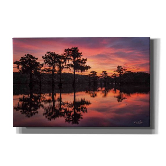 Epic Graffiti 'Swamp on Fire' by Martin Podt, Canvas Wall Art, 40"x26"