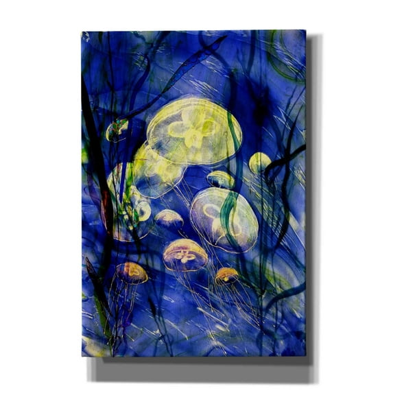 Epic Graffiti 'Swimming With The Jellies' by Rita Shimelfarb, Giclee Canvas Wall Art, 18"x26"