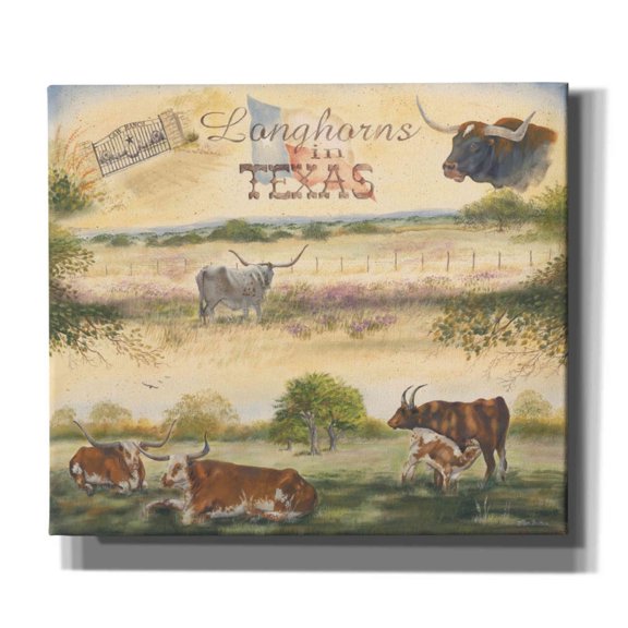 Epic Graffiti 'Texas Collision V' by Pam Britton, Canvas Wall Art, 30"x26"