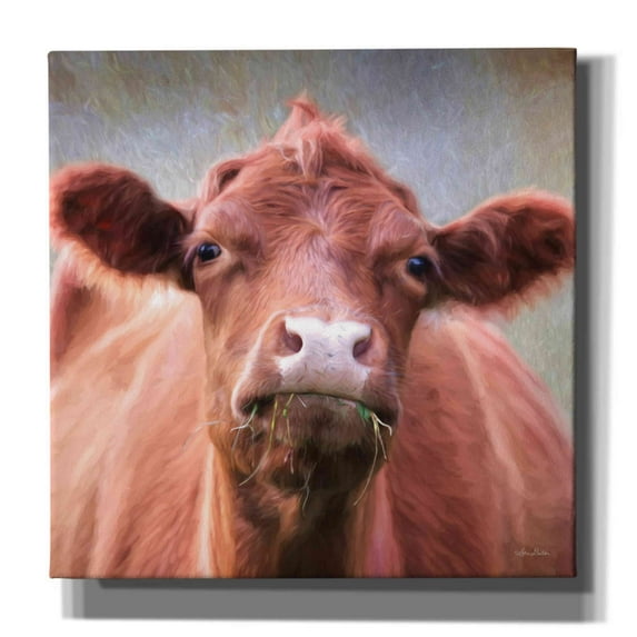Epic Graffiti 'The Brown Cow' by Lori Deiter, Canvas Wall Art, 37"x37"