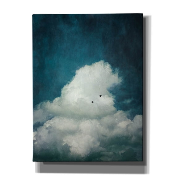 Epic Graffiti 'The Cloud' by Dirk Wustenhagen Canvas Wall Art, 12" x 16"