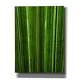 thumbnail image 1 of Epic Graffiti 'The Great Green Wall' by Epic Portfolio Giclee Canvas Wall Art, 12"x16", 1 of 8