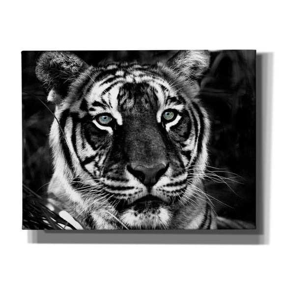 Epic Graffiti 'The Observer Black & White' by Dana Brett Munach, Canvas Wall Art, 34"x26"
