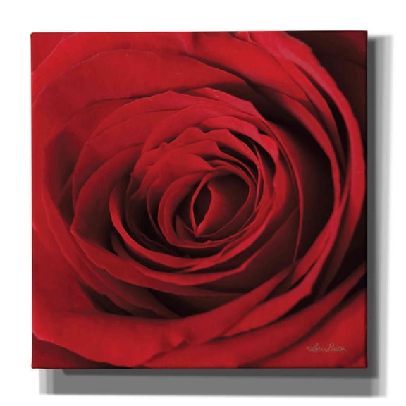 Epic Graffiti 'The Red Rose II' by Lori Deiter, Canvas Wall Art, 12"x12"