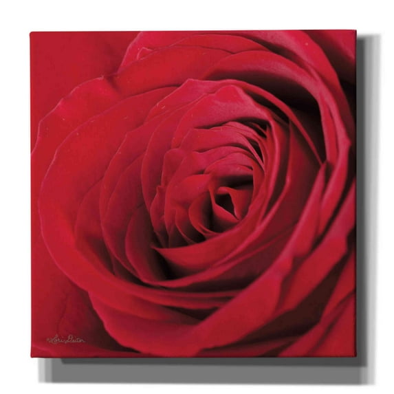 Epic Graffiti 'The Red Rose III' by Lori Deiter, Canvas Wall Art, 12"x12"
