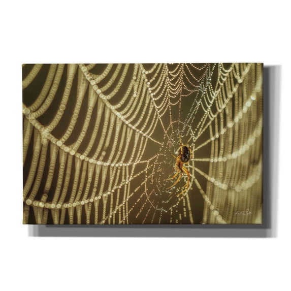 Epic Graffiti 'The Spider and Her Jewels' by Martin Podt, Canvas Wall Art, 60"x40"