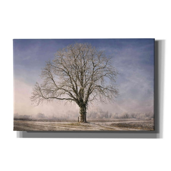 Epic Graffiti 'The Tree Fairy Tale' by Philippe Sainte-Laudy, Canvas Wall Art, 40"x26"