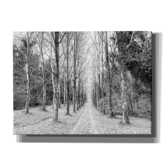 Epic Graffiti 'The Way Forward' by IMB, Canvas Wall Art, 54"x40"