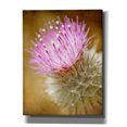 thumbnail image 1 of Epic Graffiti 'Thistle Bloom' by Jessica Rogers, Canvas Wall Art, 26"x34", 1 of 8