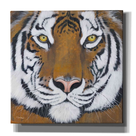 Epic Graffiti 'Tiger Gaze' by Britt Hallowell, Canvas Wall Art, 37"x37"