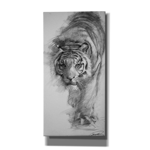 Epic Graffiti 'Tiger approaching sketch' by Robert Campbell, Canvas Wall Art, 20"x40"