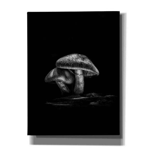 Epic Graffiti 'Toadstools On A Trail No 2' by Brian Carson, Giclee Canvas Wall Art, 12"x16"