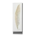 thumbnail image 1 of Epic Graffiti 'Tonal Feather I' by Cindy Jacobs, Canvas Wall Art, 20"x60", 1 of 2