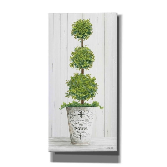 Epic Graffiti 'Topiary Paris' by Cindy Jacobs, Canvas Wall Art, 30"x60"