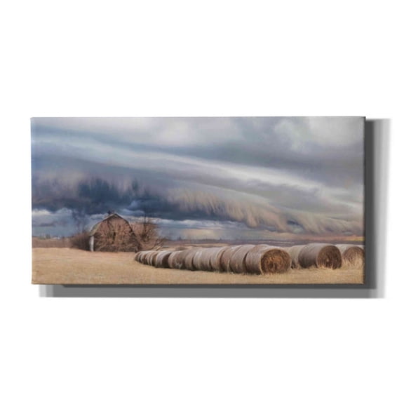 Epic Graffiti 'Tornado Warning' by Lori Deiter, Canvas Wall Art, 24"x12"