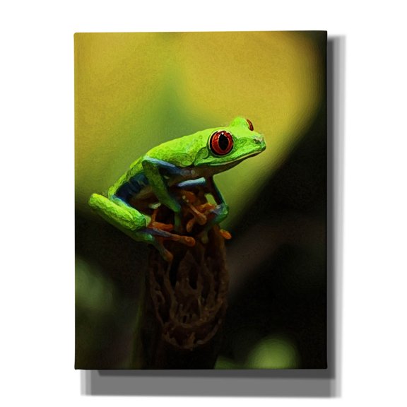 Epic Graffiti 'Tree Frog' by Dana Brett Munach, Canvas Wall Art, 12"x16"