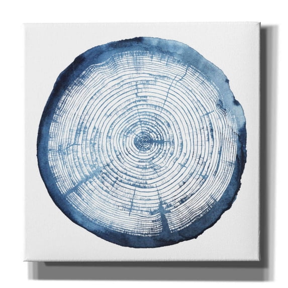 Epic Graffiti 'Tree Ring Overlay I' by Grace Popp, Canvas Wall Art, 37"x37"