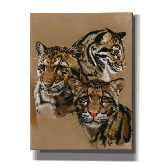 Epic Graffiti 'Triumvarate' by Barbara Keith, Canvas Wall Art, 12"x16"