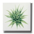 thumbnail image 1 of Epic Graffiti 'Tropical Plant III' by Grace Popp, Canvas Wall Glass, 12"x12", 1 of 2
