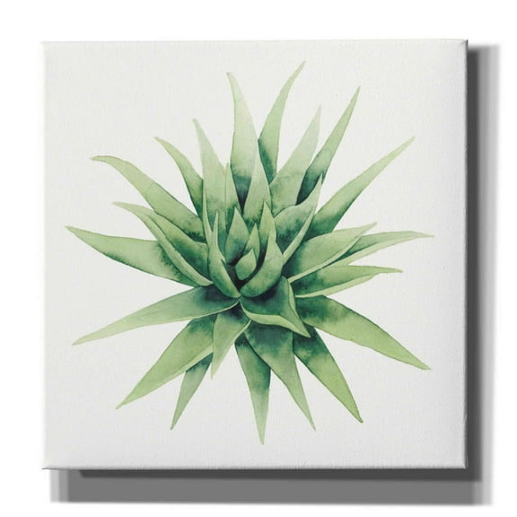 Epic Graffiti 'Tropical Plant III' by Grace Popp, Canvas Wall Glass, 37"x37"