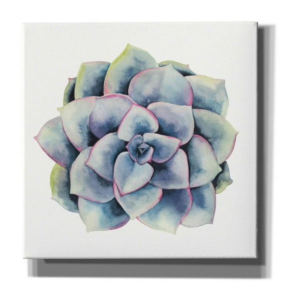 Epic Graffiti 'Tropical Plant V' by Grace Popp, Canvas Wall Glass, 12"x12"