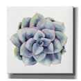 thumbnail image 1 of Epic Graffiti 'Tropical Plant V' by Grace Popp, Canvas Wall Glass, 26"x26", 1 of 2