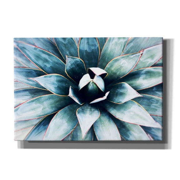 Epic Graffiti 'Tropical Star' by Irena Orlov, Canvas Wall Art, 26"x18"