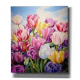 thumbnail image 1 of Epic Graffiti 'Tulips In Spring' by Momart Canvas Wall Art, 26" x 30", 1 of 1