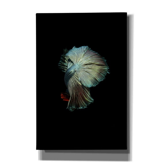 Epic Graffiti 'Turquoise and Red Betta' by Incado, Giclee Canvas Wall Art, 40"x60"