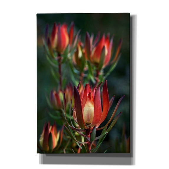 Epic Graffiti 'Two' by SD Smart, Canvas Wall Art, 12"x18"