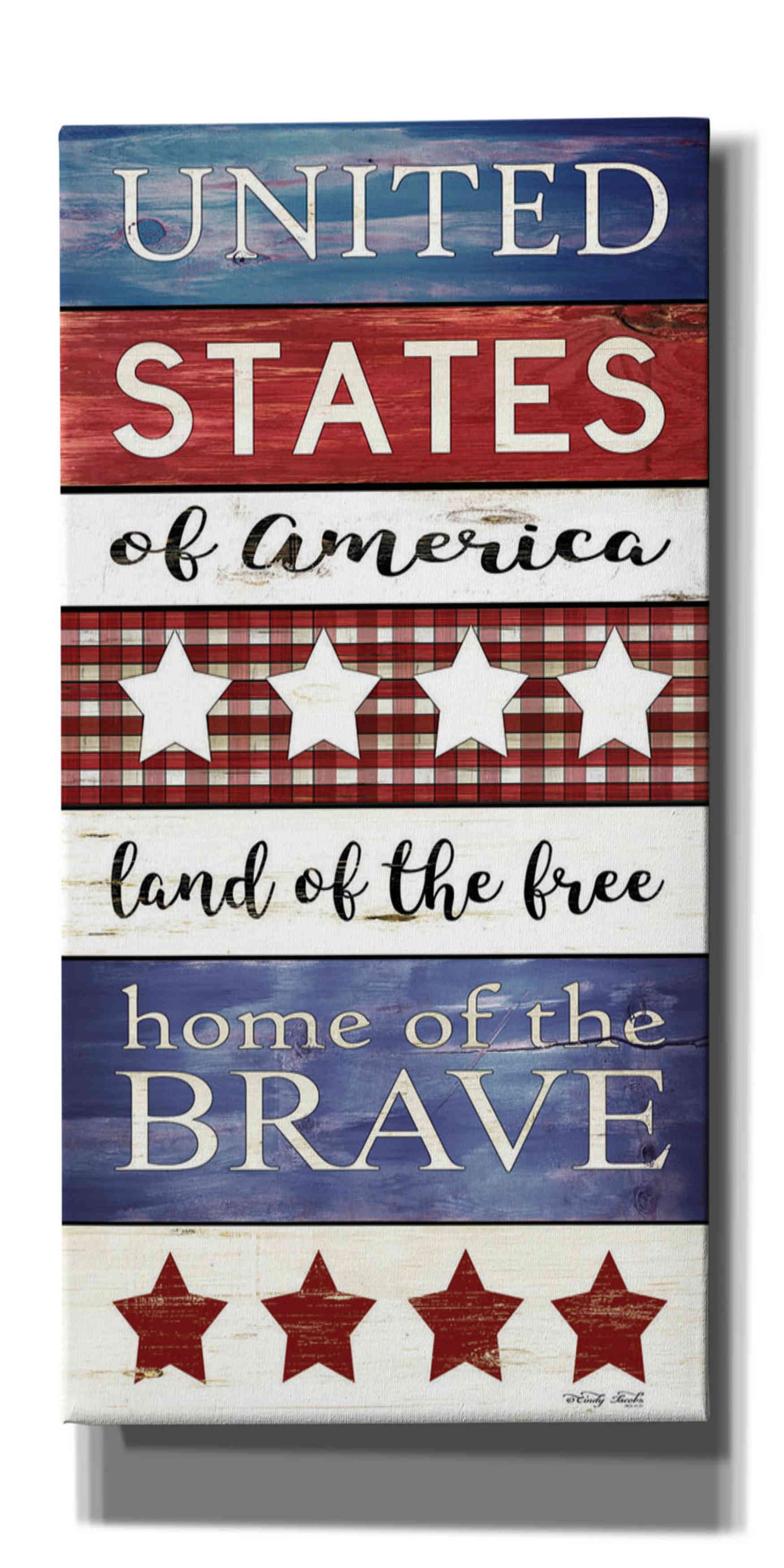 Epic Graffiti 'United States Panel' by Cindy Jacobs, Canvas Wall Art ...