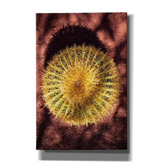 Epic Graffiti 'Utah - Cactus' by Epic Portfolio, Canvas Wall Art, 12"x18"