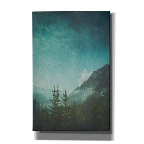 Epic Graffiti 'Valley View' by Dirk Wustenhagen Canvas Wall Art, 26" x 40"